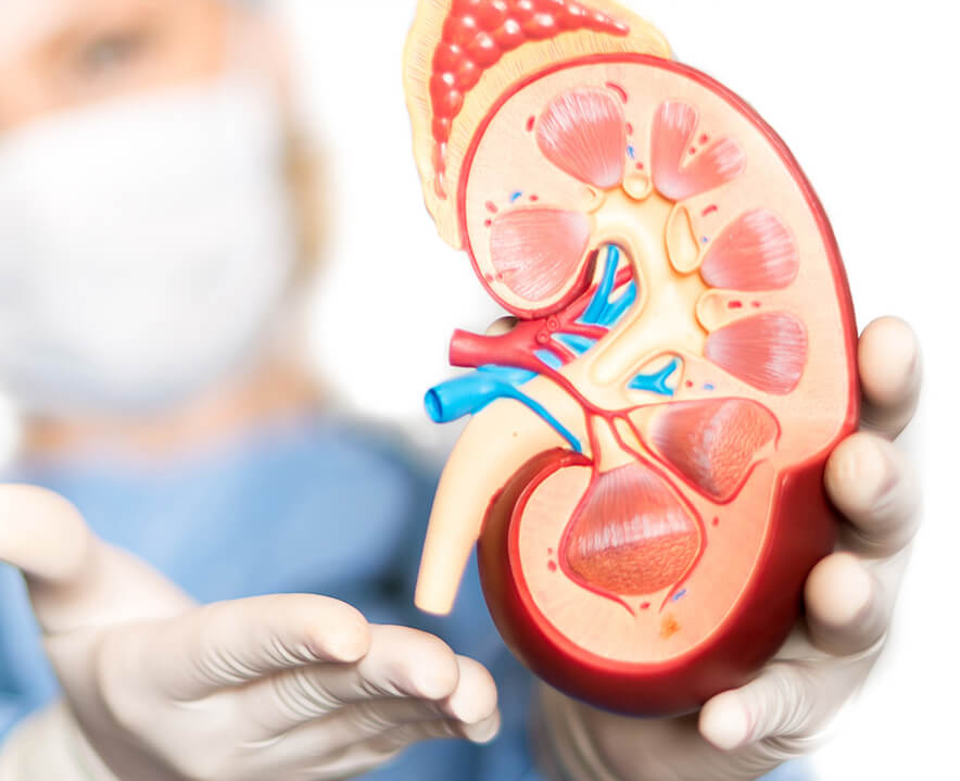 best nephrologist in Mumbai