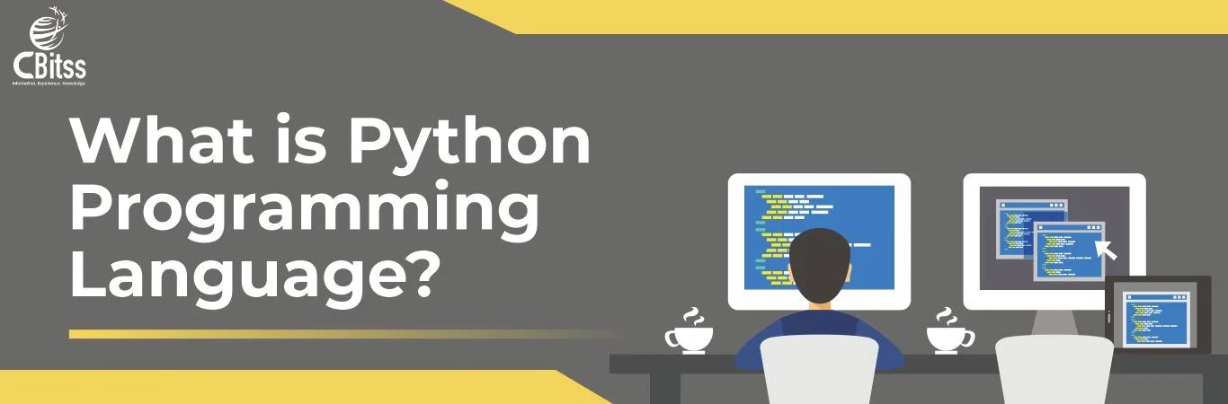 what is python programming language used for?