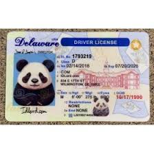 delaware fake id