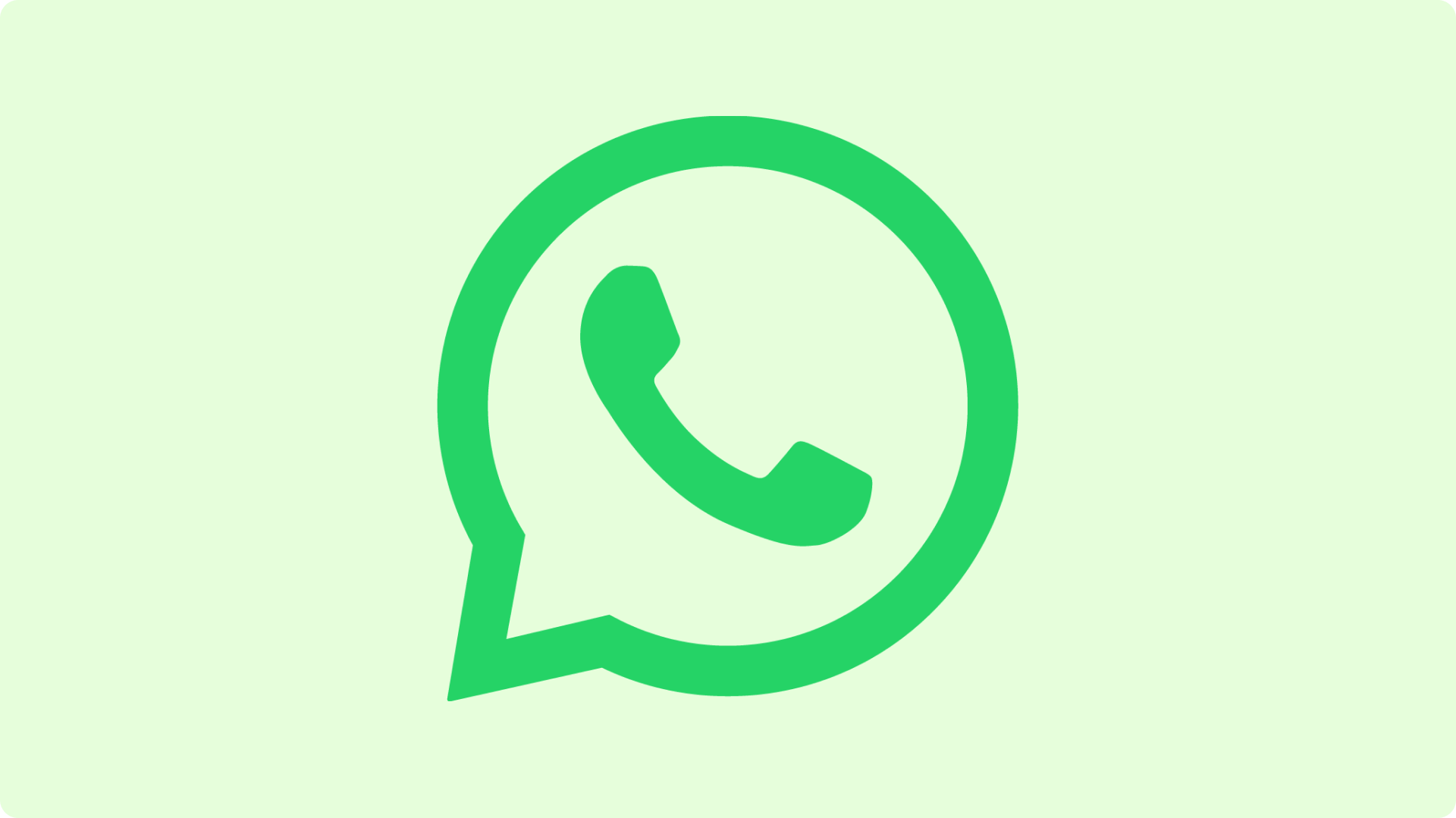 whatsapp marketing in bangalore