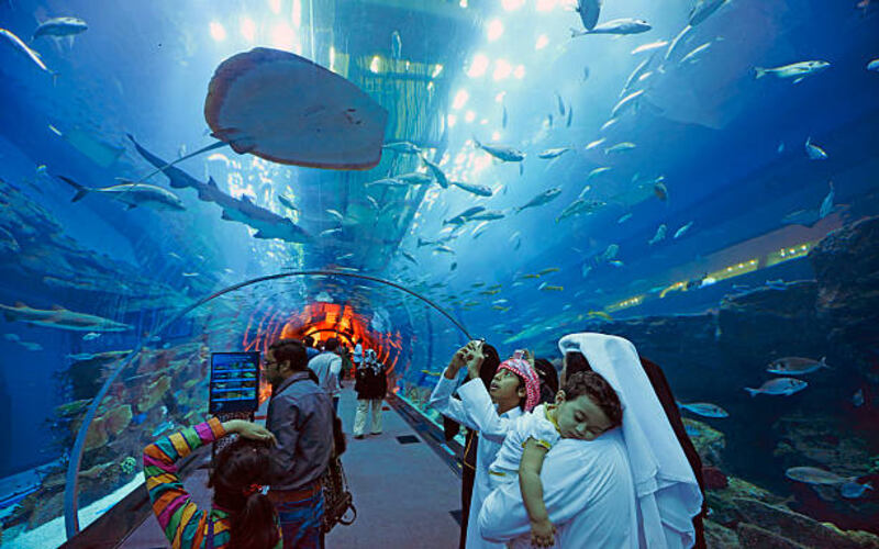 dubai mall aquarium and underwater zoo ticket