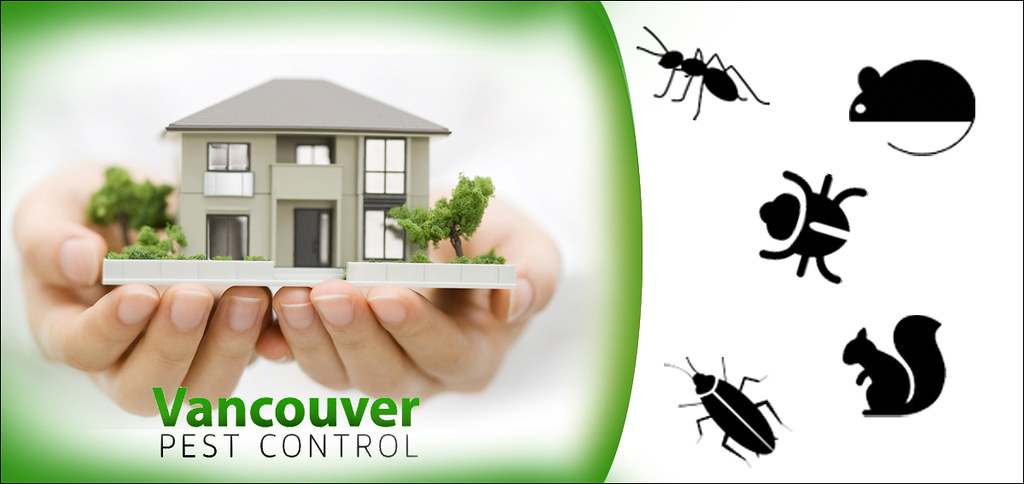 effective bed bug control