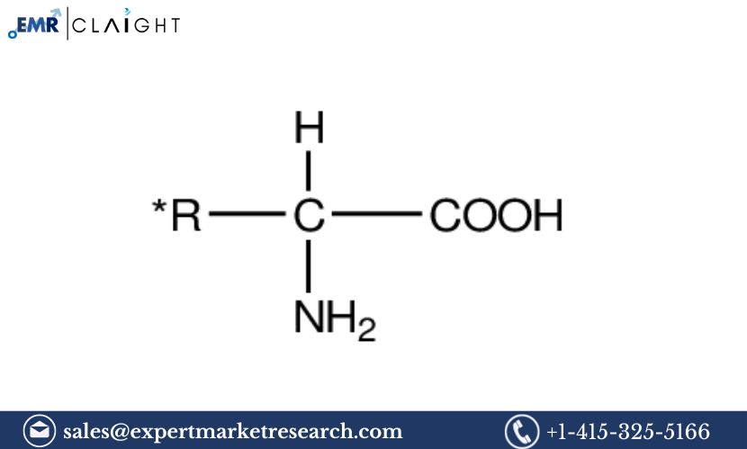 Amino Acid Manufacturing Plant Project Report