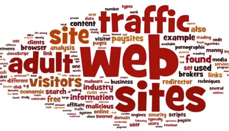 adult website SEO