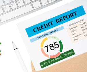 tradelines for credit reports